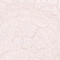 White Purple - PP20